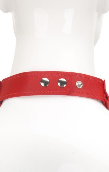 Комір з ланцюгом MADAM COLLAR RED DIA107 фото