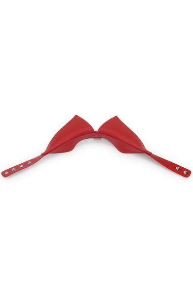 Комір з ланцюгом MADAM COLLAR RED DIA107 фото