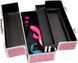 Большой бокс для хранения интимных игрушек с кодовым замком BMS Factory Large Lokable Vibrator Case Pink SO8900 фото 2