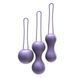 Набор вагинальных шариков Je Joue - Ami Purple, диаметр 3,8-3,3-2,7 см, вес 54-71-100 гр SO3042 фото 1
