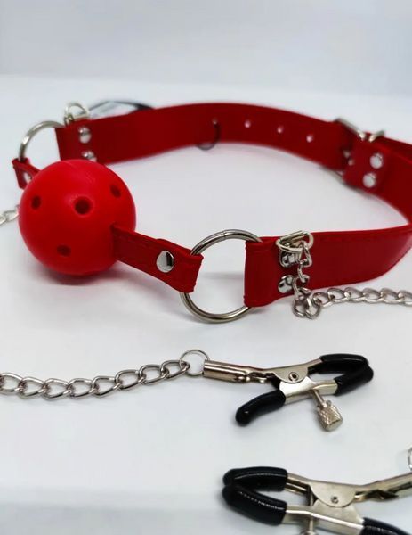 Кляп с зажимами для сосков DS Fetish Ball gag with nipple clamps red, 5 см. 222002025 фото