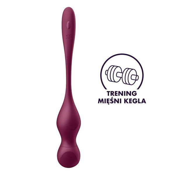 Смарт-вагинальные шарики с вибрацией и пультом ДУ Satisfyer Love Birds Vary Connect App, изменяемая масса SX1216 фото