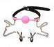 Кляп с шариком и зажимами для сосков DS Fetish Locking gag with nipple clamps black/pink, 4 см. 221303054 фото 1
