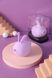 Вакуумный клиторальный стимулятор с вибрацией KisToy Miss KK Purple, 8,3x5,8 см. SO3760 фото 5