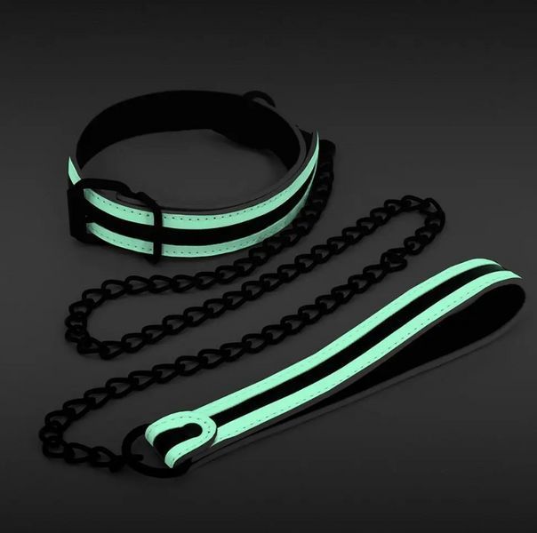 Ошейник с поводком, светятся в темноте NS Novelties GLO BONDAGE COLLAR AND LEASH GREEN T280848 фото