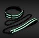 Ошейник с поводком, светятся в темноте NS Novelties GLO BONDAGE COLLAR AND LEASH GREEN T280848 фото 2