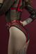Гартери Feral Feelings - Belt Briefs, трусики, натуральна шкіра, колір червоний SO3446 фото 3