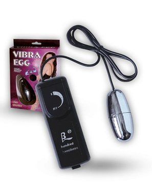 Віброяйце Silver Vibrating Egg, 5,5x2,2 див. 6603BI0001 фото