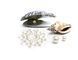 Пэстис из кристаллов Bijoux Indiscrets - Mimi Pearl SO2322 фото 2