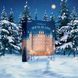 Адвент-календарь Satisfyer Deluxe Advent Calendar 2025 (наполнение на 30000 грн) SX2854 фото 7
