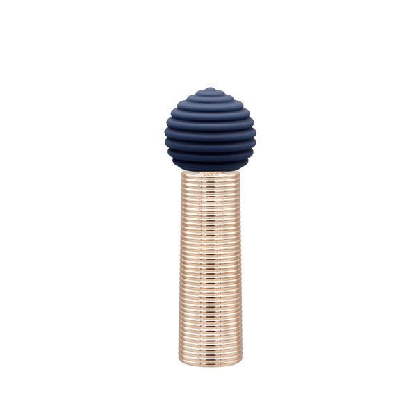 Вібромасажер з насадками Pillow Talk Secrets Desires 6-Piece Mini Massager Set - Navy SO7750 фото