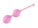 Вагинальные шарики Femintimate Kegel Balls FM40601 фото 1
